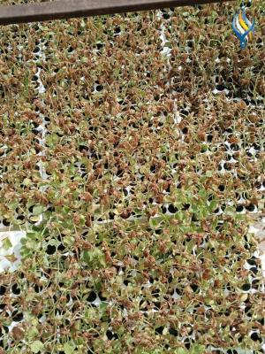 Прикрепленное изображение: 276075280_5244872255530939_9148617127948640458_n.jpg